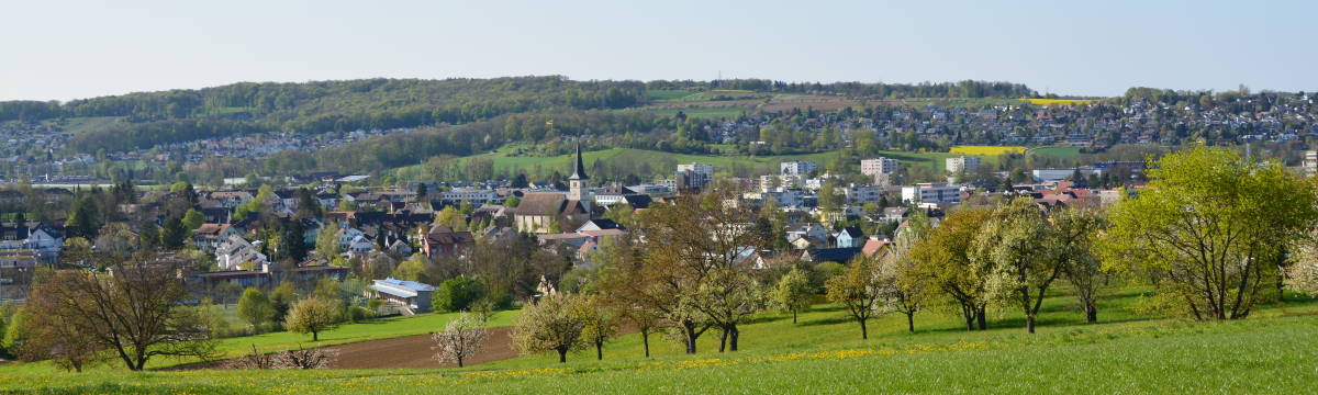 Banner - Therwil